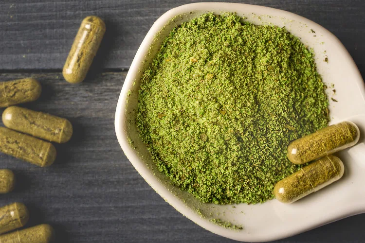 The Rise of Kratom Online: Unraveling Nature’s Botanical Treasure